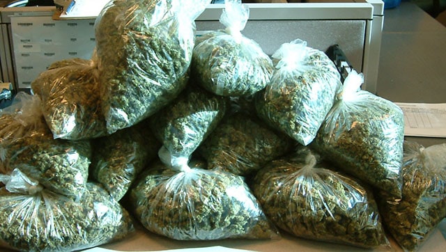 pot_bags