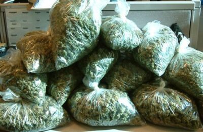 Marijuana packaging to be recycled